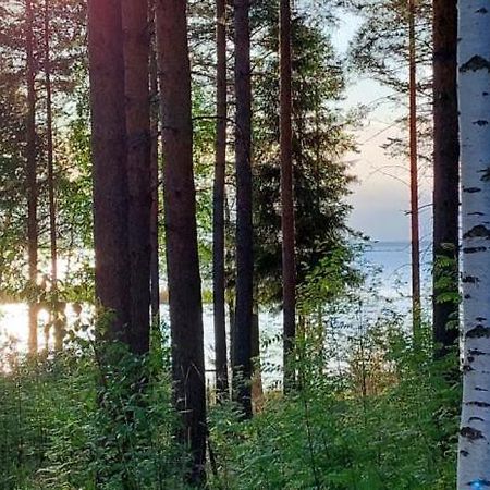 Pulla Karvisen Maatilamatkailussa Ruokola Exteriér fotografie