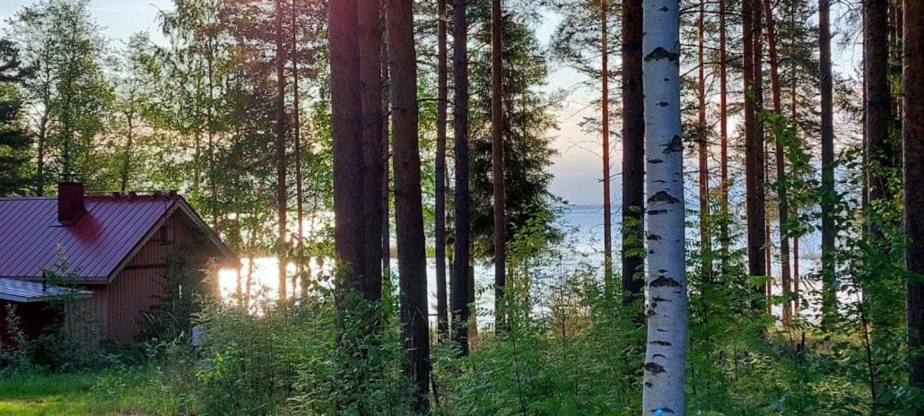 Pulla Karvisen Maatilamatkailussa Ruokola Exteriér fotografie